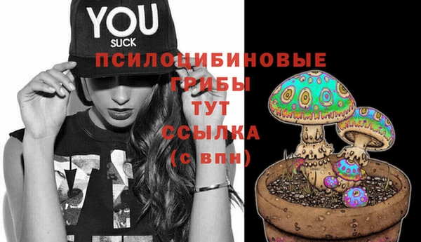 прущая мука Касимов