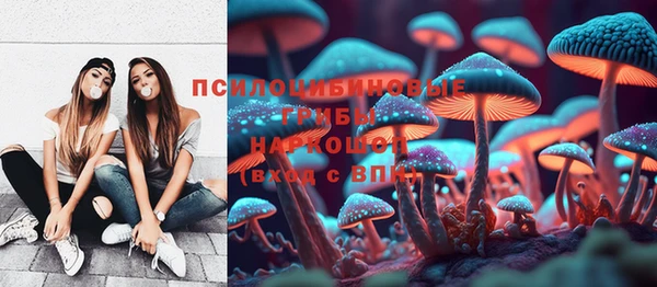 прущий лед Карталы
