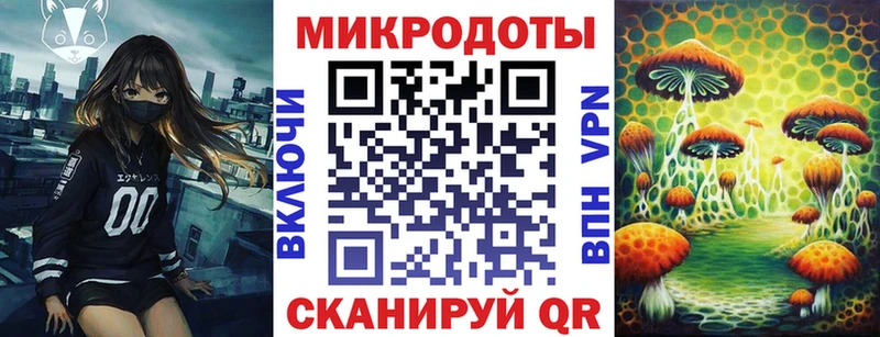 Купить где  Гусев  Псилоцибиновые грибы мицелий 